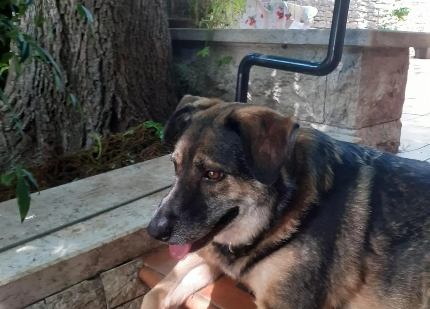 Apartman Maria بولا