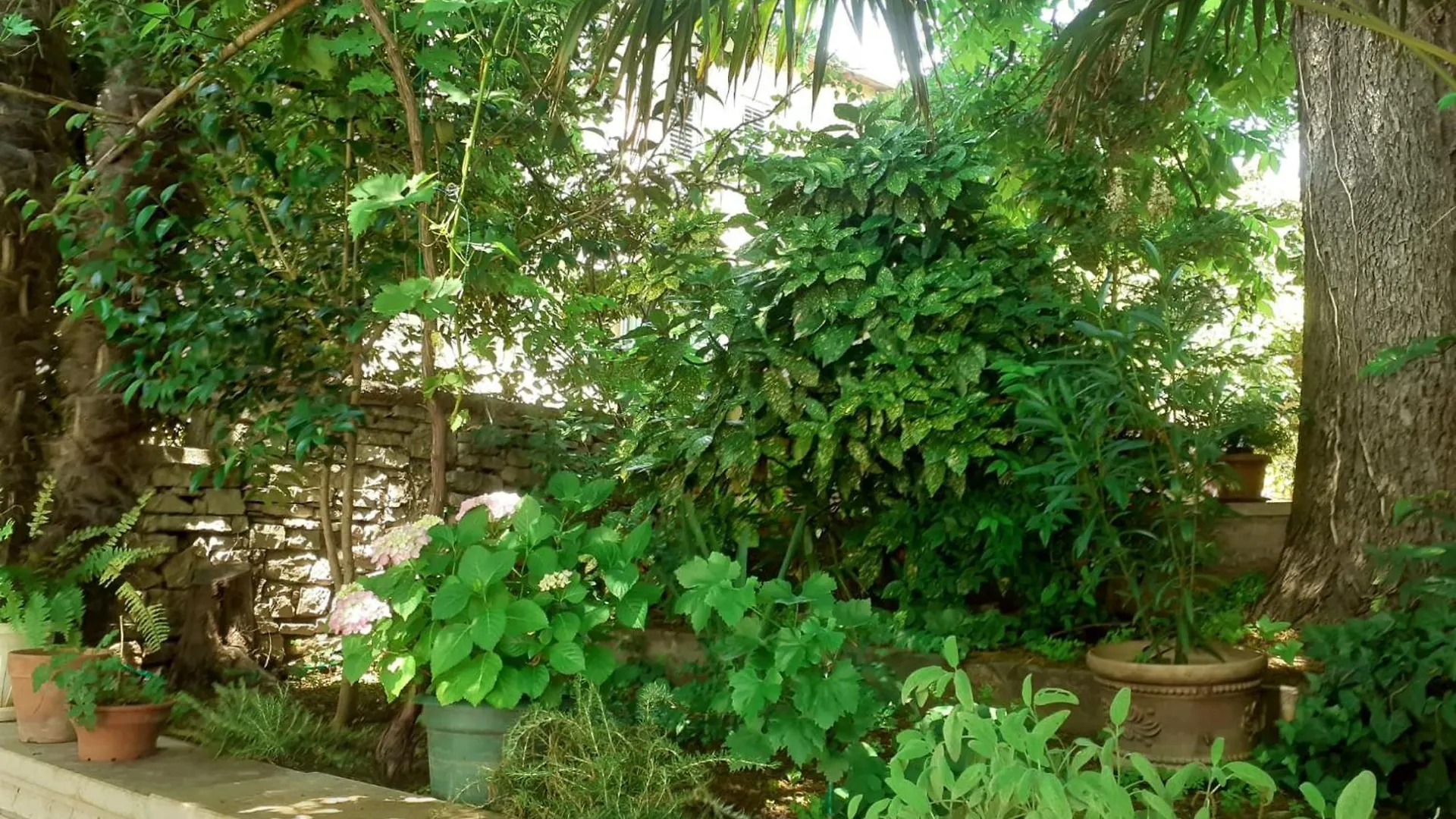 Apartman Maria بولا 0*,