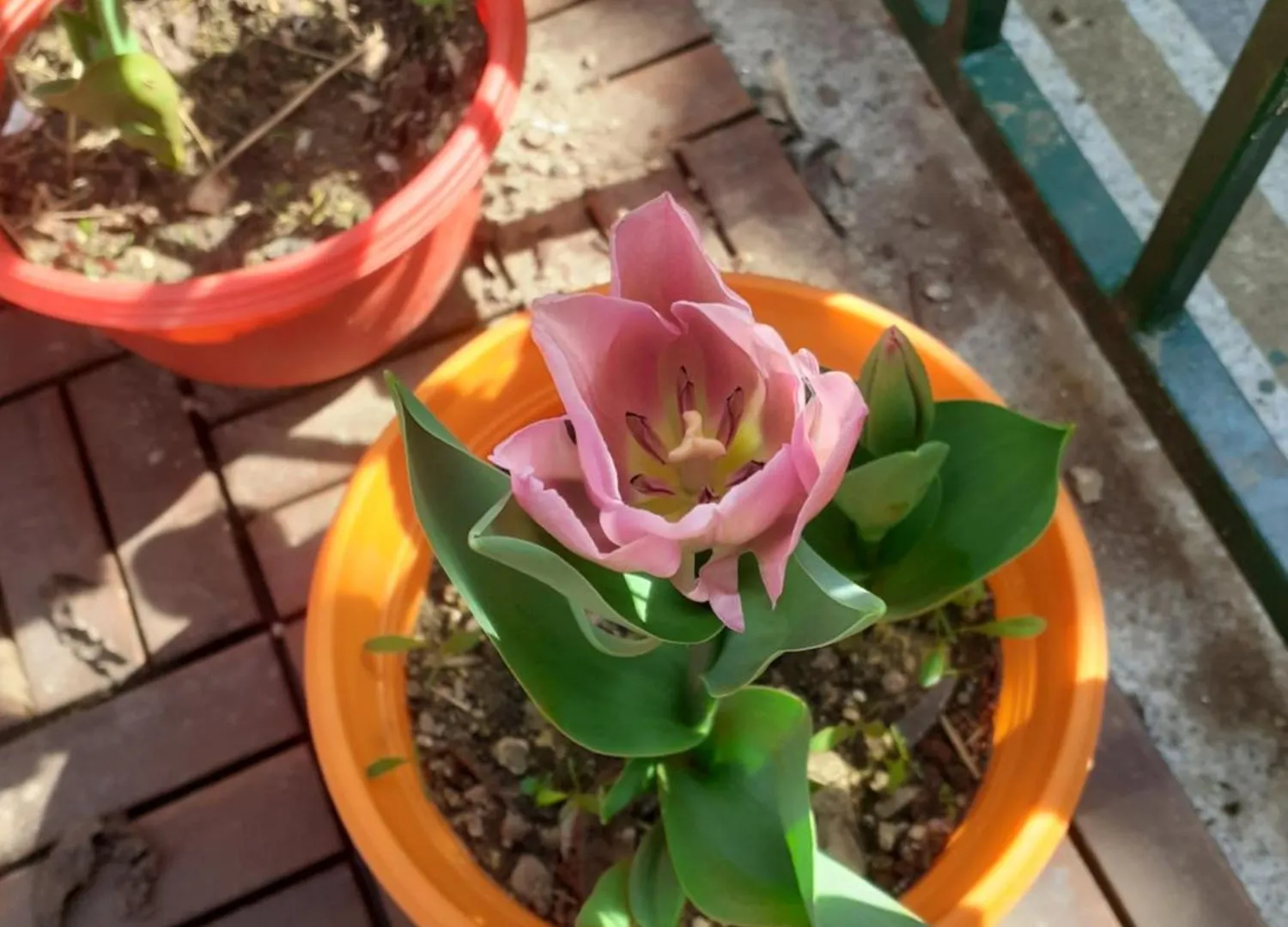 Apartman Maria Pula